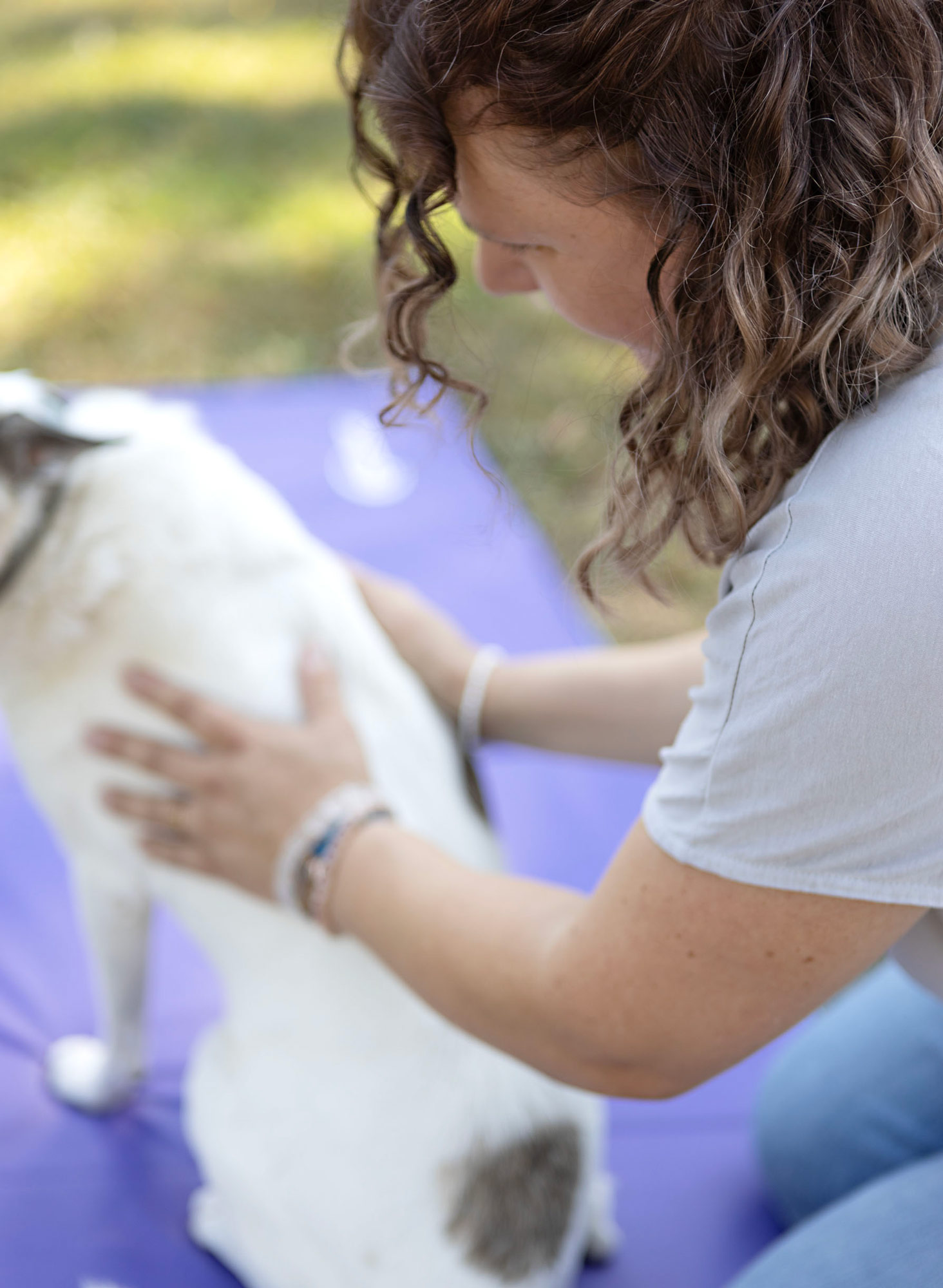 Hundephysiotherapie im Kreis Ludwigsburg Osteopathie