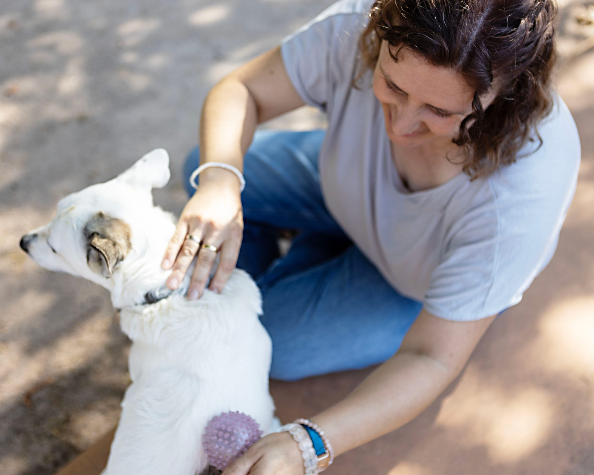 Tierbehandlung nach Operation Lis Liefhold