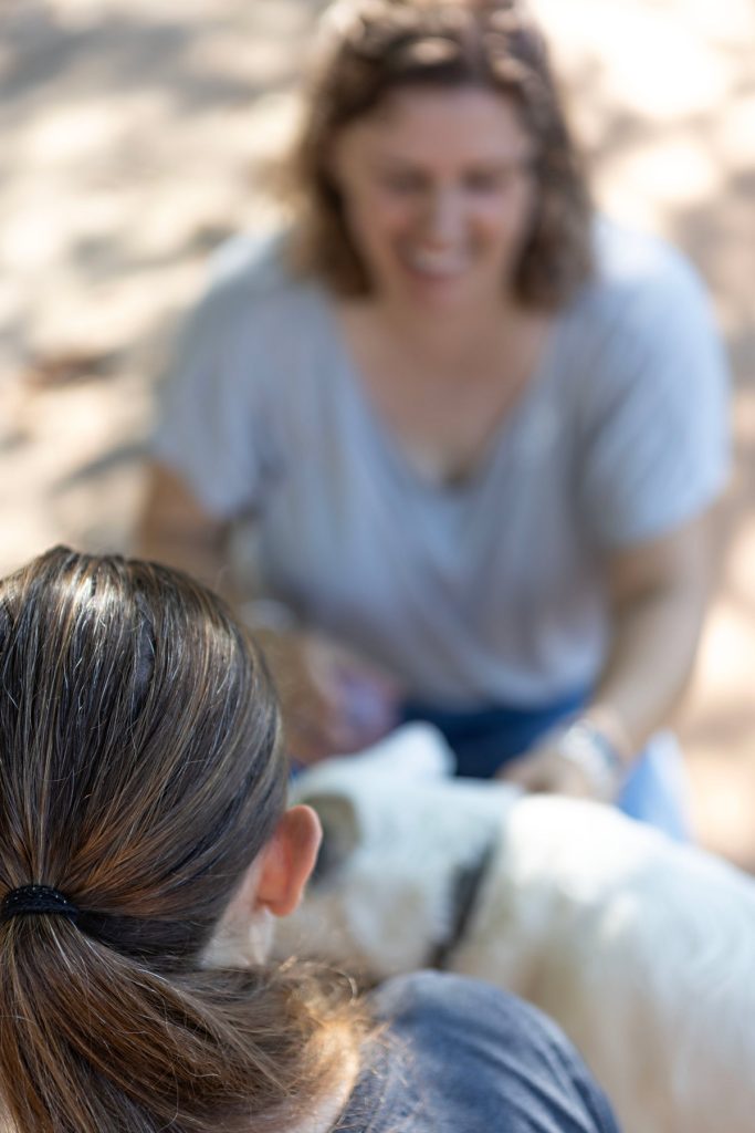 Tierbehandlung nach Operation Lis Liefhold